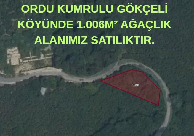 ORDU KUMRULU GÖKÇELİ KÖYÜNDE 1.006M² AĞAÇLIK ALANIMIZ SATILIKTIR. - ORDU KUMRU fotoğraf 7